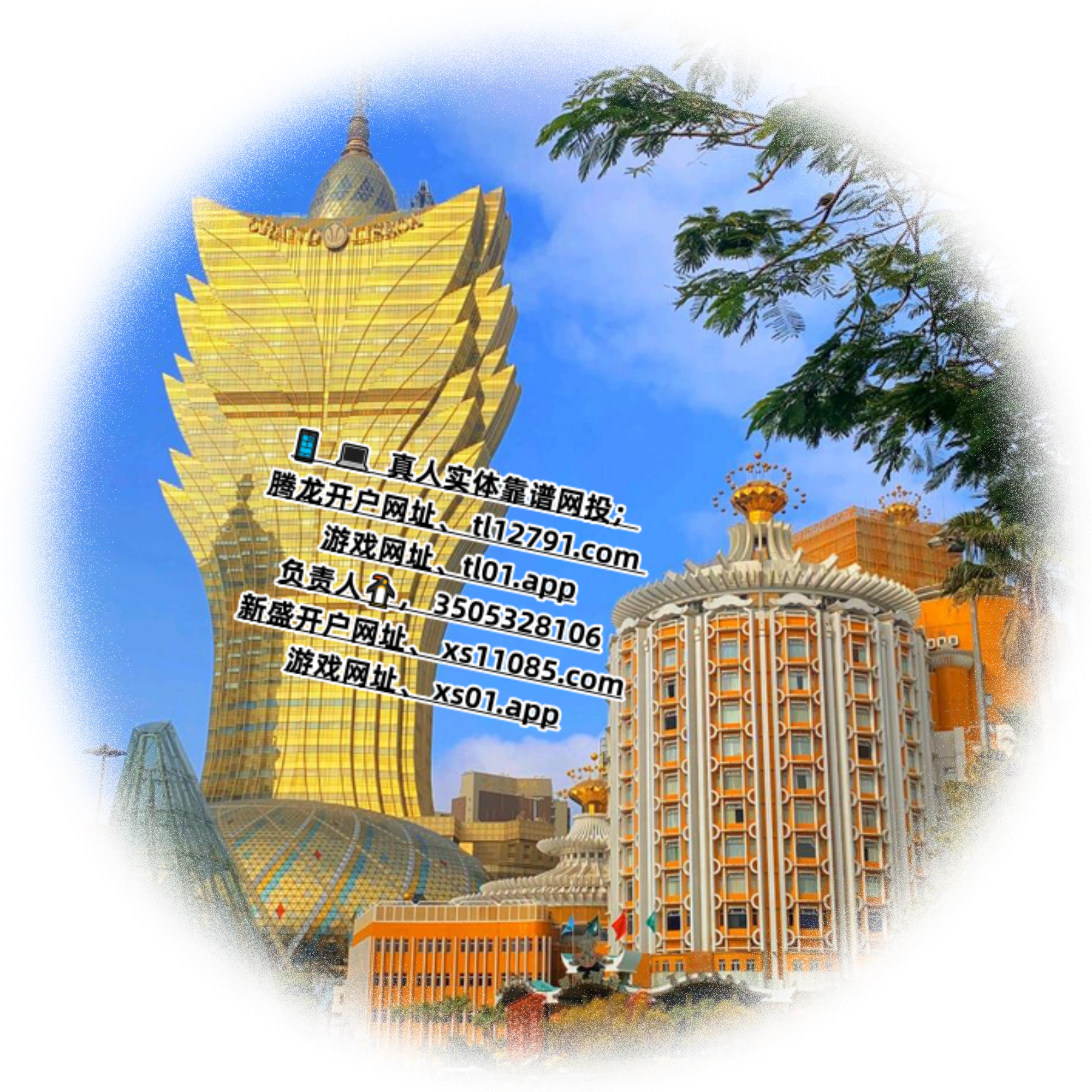 0d52749dc5ea4f19ab2457dbd320cd5b.png