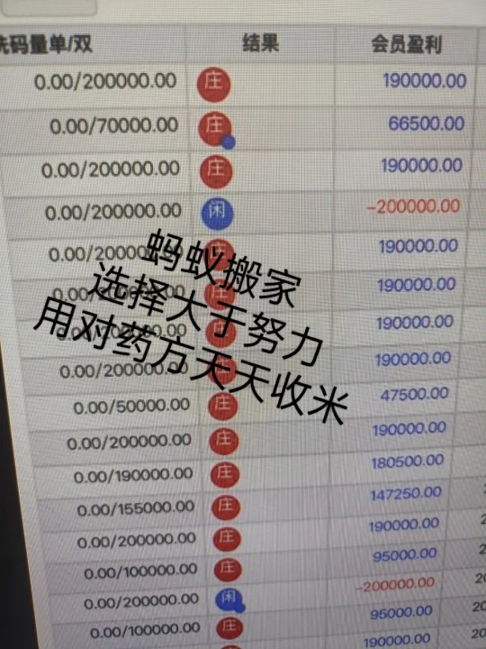 xs11085.com新盛公司注册官网？